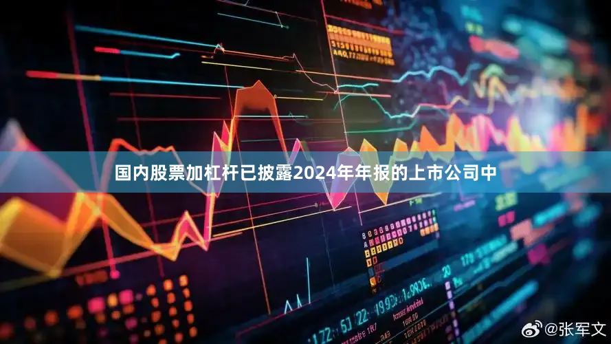 国内股票加杠杆已披露2024年年报的上市公司中