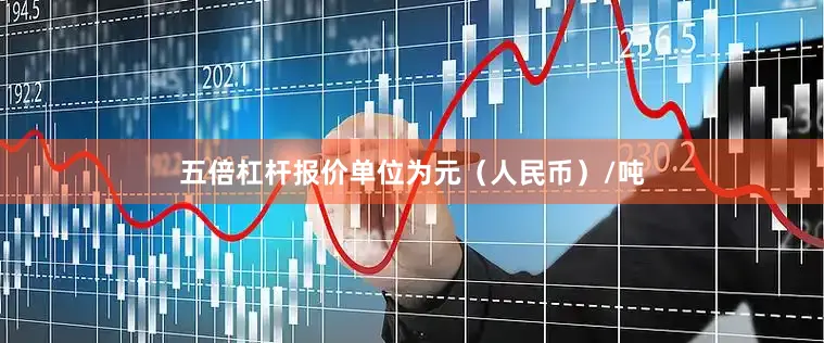 五倍杠杆报价单位为元（人民币）/吨